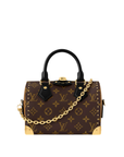 Louis Vuitton Speedy Trunk 20.