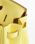 Hermès Birkin 25 Jaune Poussin