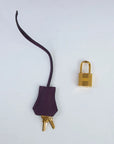 Hermès Birkin 25 Cassis
