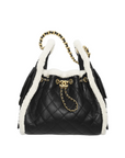 Chanel 25 Small Handbag