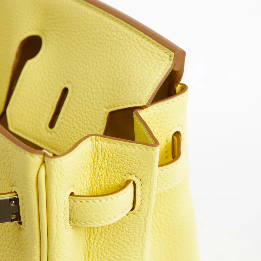 Hermès Birkin 25 Jaune Poussin