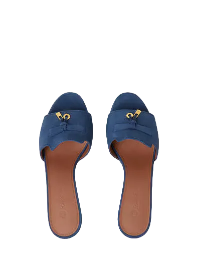 Pair of blue sandals with brown soles on a white background