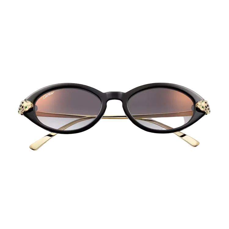 Sunglasses with black frame and gold accents on a light gray background