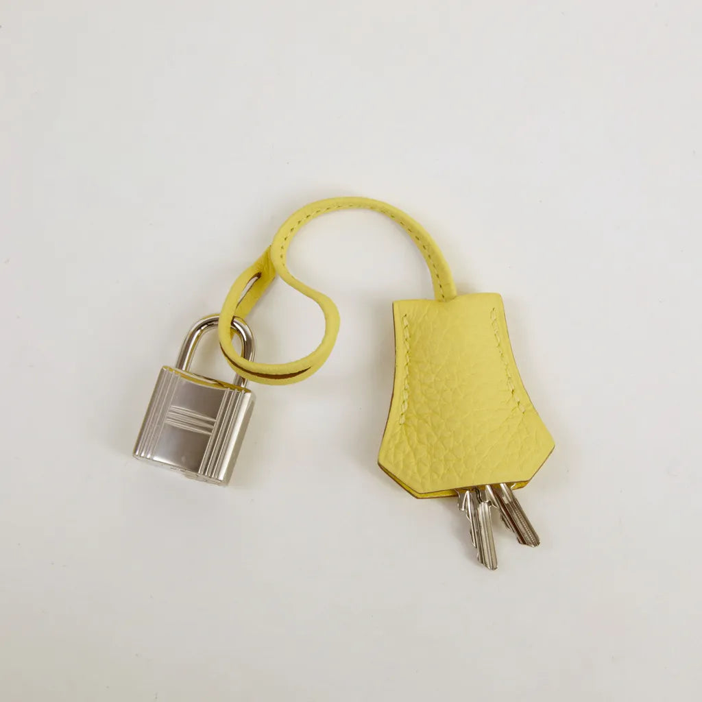 Hermès Birkin 25 Jaune Poussin
