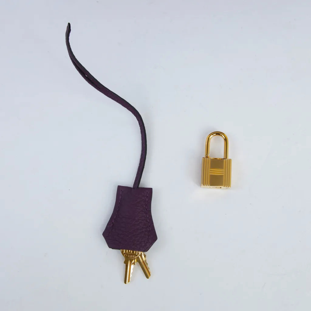 Hermès Birkin 25 Cassis