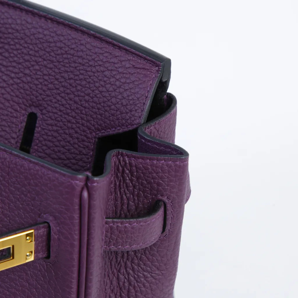 Hermès Birkin 25 Cassis