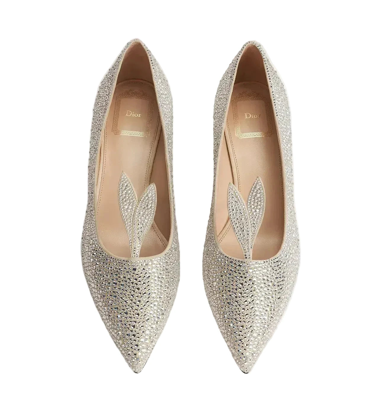 A pair of pointed-toe Christian Dior pumps covered in shimmering silver rhinestones, featuring a matching silver rhinestone leaf detail on the instep, set against a clean light gray background.