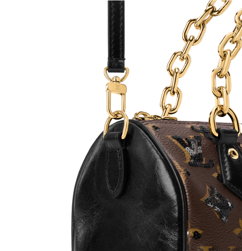 Louis Vuitton Speedy Bandouliere 20