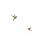 Coco Et Loco